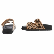 Slapi - camelleopard dama